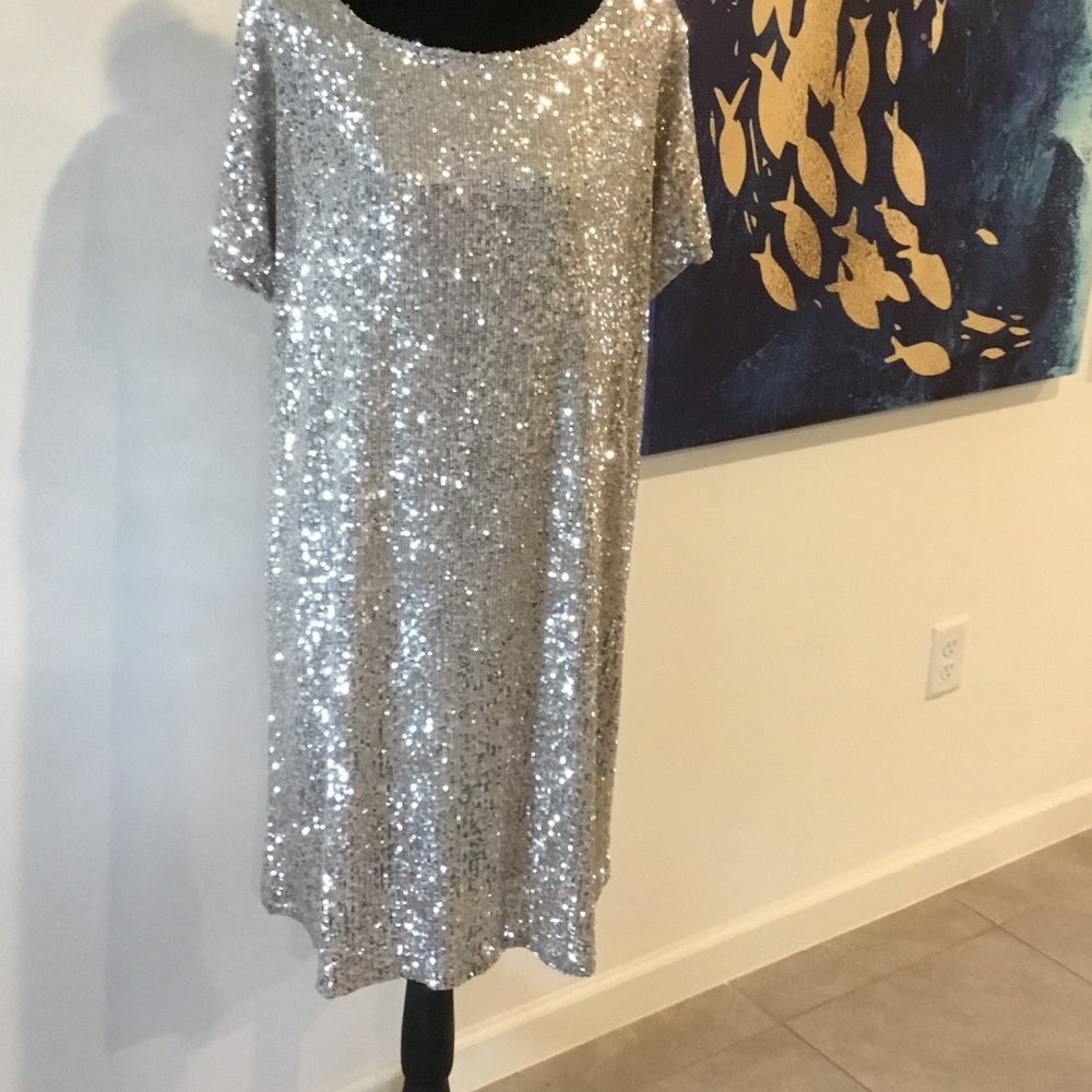 Cable & Gauge Shimmering Silver Midi Dress